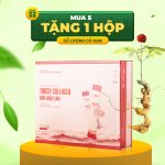 Thực phẩm bổ sung Thạch Collagen Sâm Ngọc Linh