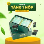 [Hộp 50 gói] Trà hòa tan Sâm Ngọc Linh TuMơRông